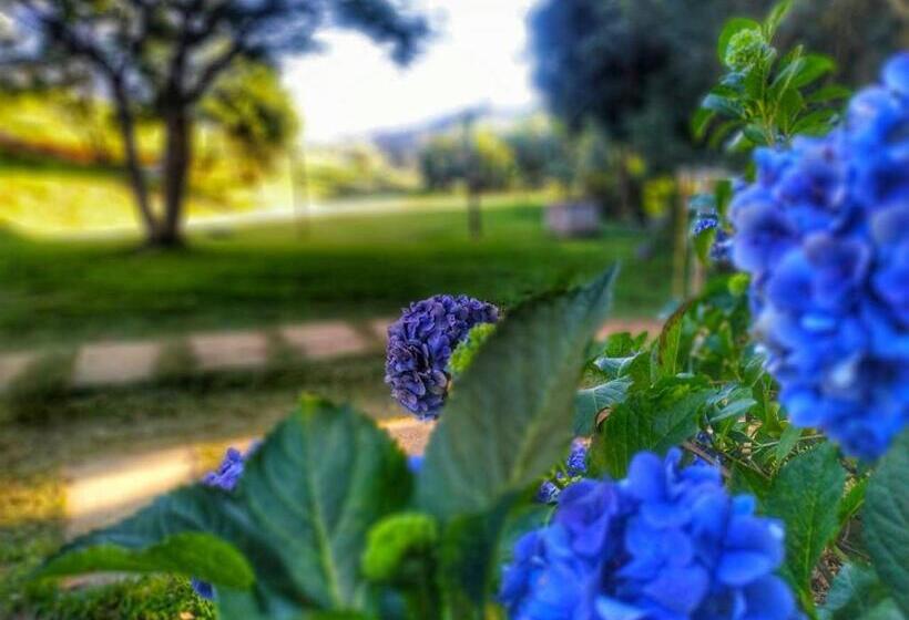 住宿加早餐  Pousada Sítio Vale Das Olivas