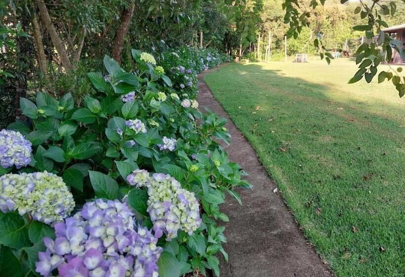 住宿加早餐  Pousada Sítio Vale Das Olivas