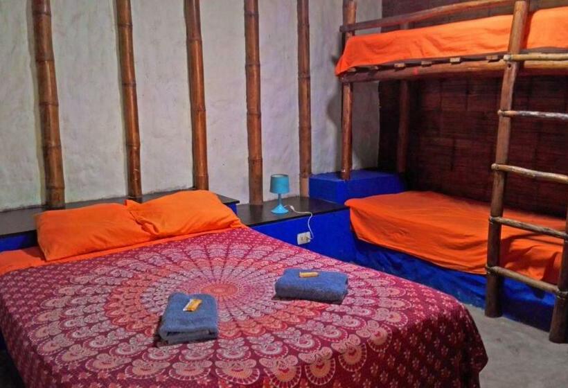 민박 Saigon Backpackers Hostel