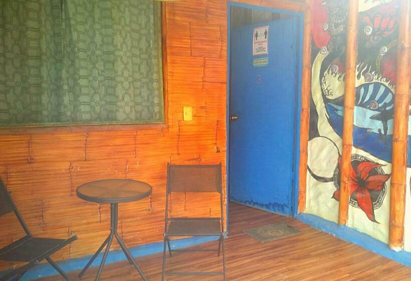 민박 Saigon Backpackers Hostel