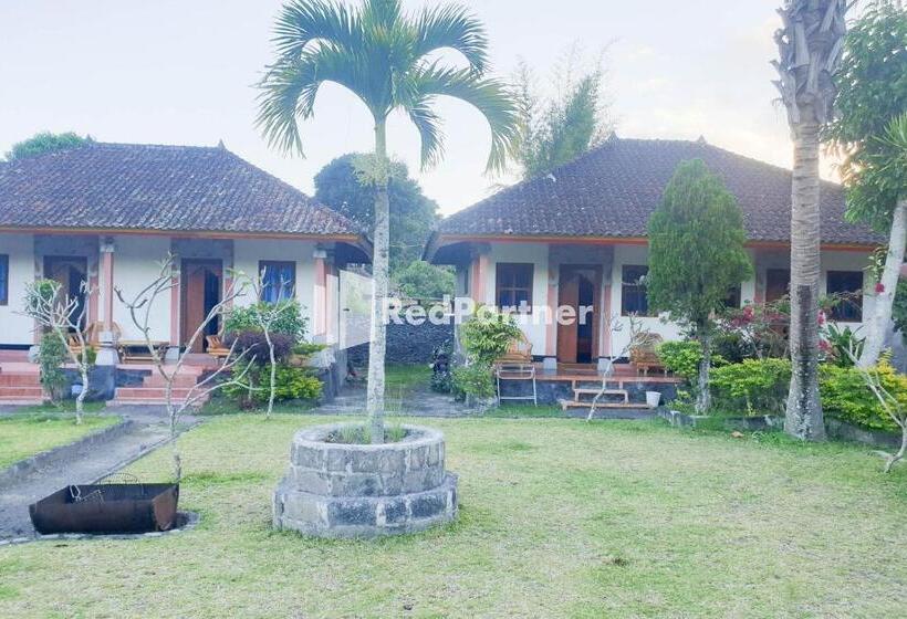 בית מלון כפרי Arlina S Guest House Kintamani Redpartner