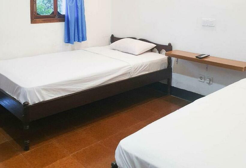 בית מלון כפרי Arlina S Guest House Kintamani Redpartner