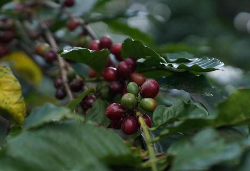 호텔 Arusha Villa Karamu Coffee Estate