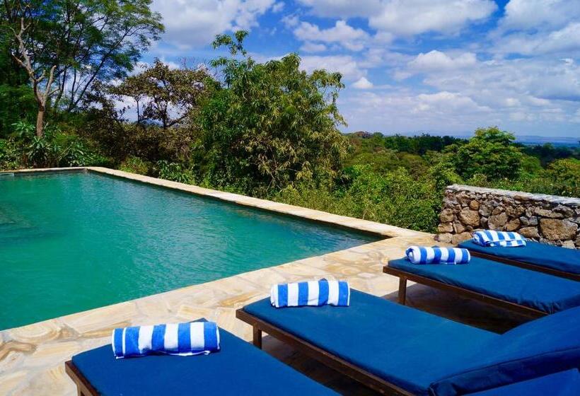 호텔 Arusha Villa Karamu Coffee Estate