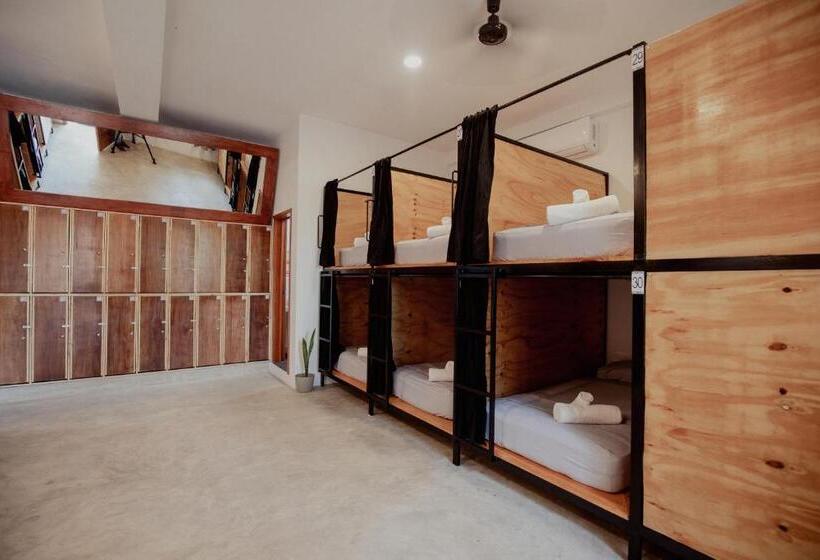 בית מלון כפרי Hostal Del Jaguar