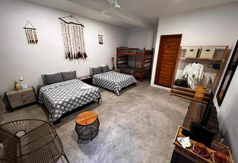 בית מלון כפרי Hostal Del Jaguar