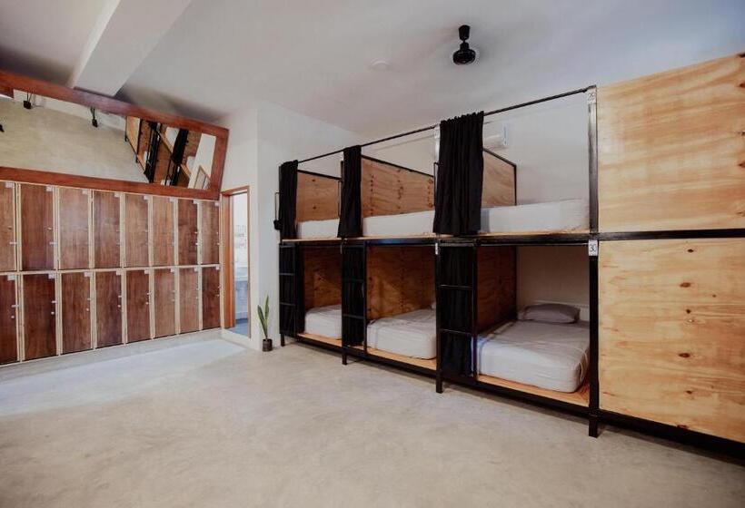 בית מלון כפרי Hostal Del Jaguar