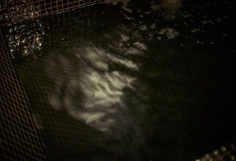 酒店 Palma Riad Adults Only