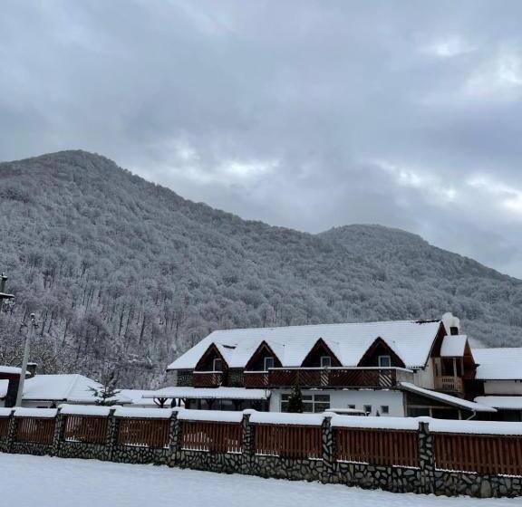 בית מלון כפרי Pensiunea Dany