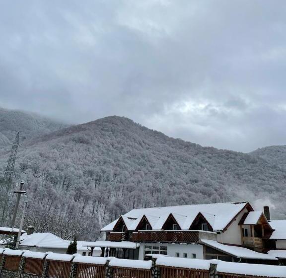 בית מלון כפרי Pensiunea Dany