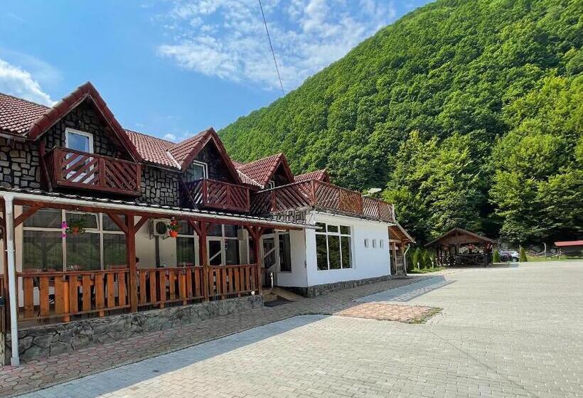 בית מלון כפרי Pensiunea Dany