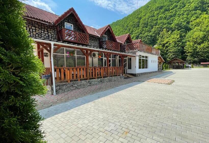 בית מלון כפרי Pensiunea Dany