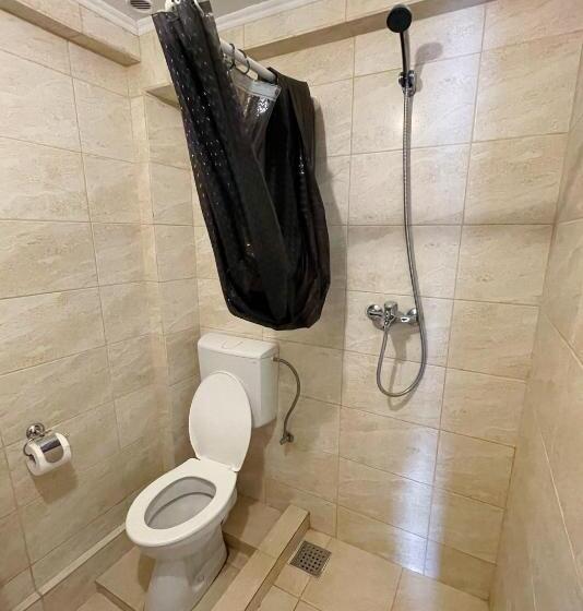 בית מלון כפרי Pensiunea Dany