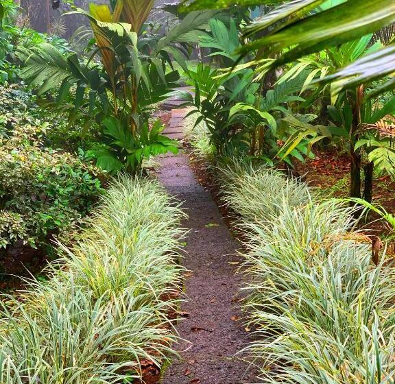 فندق ávita Lodge