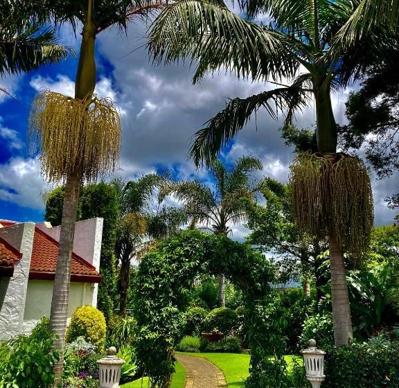 膳宿费 Bollinger Guest House