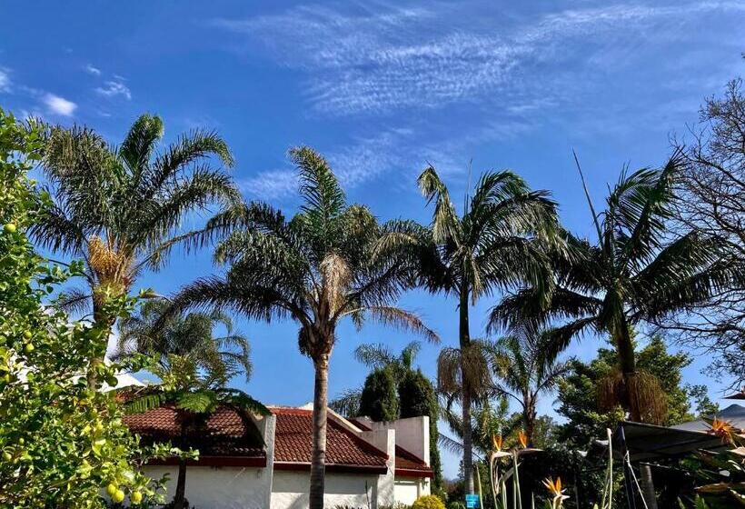 膳宿费 Bollinger Guest House