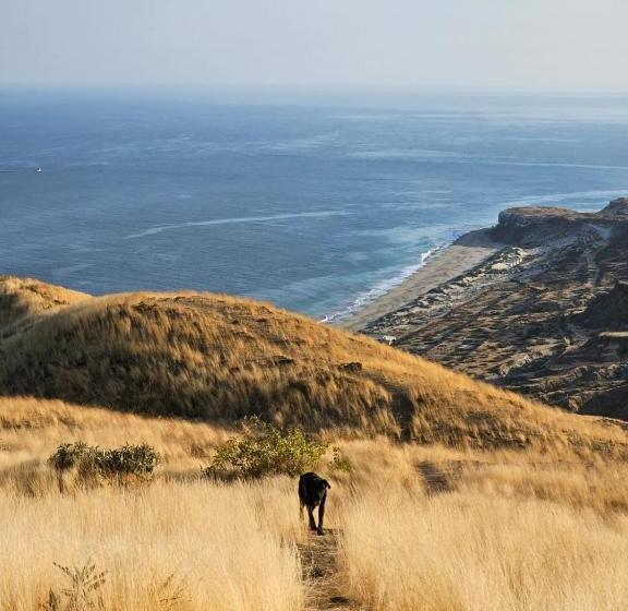 פנסיון Casa Norte North Beach