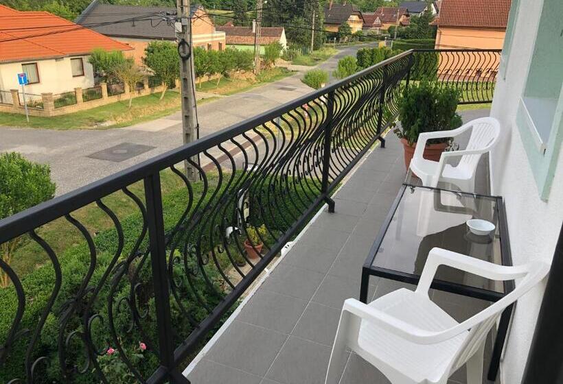 펜션 White House Zalakaros