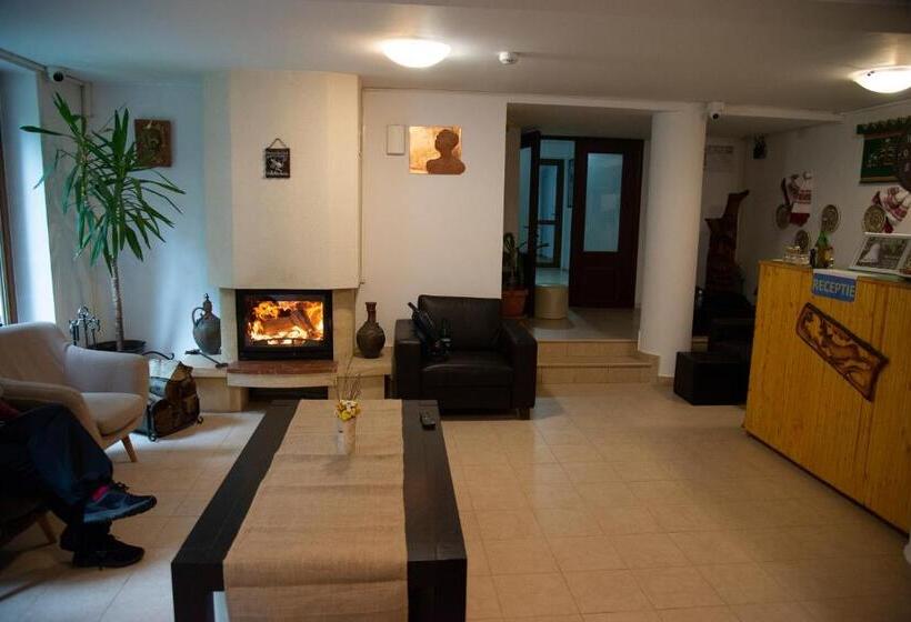 Pensiunea Aria Paltinis