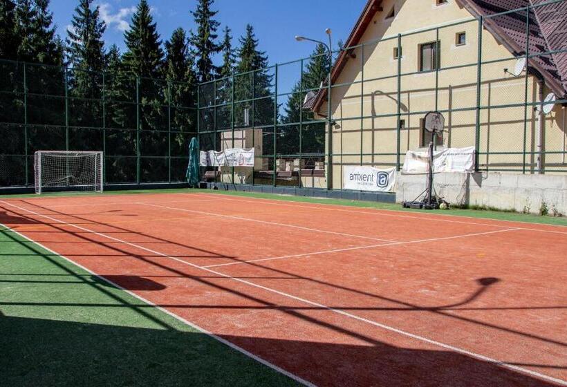 Pensiunea Aria Paltinis