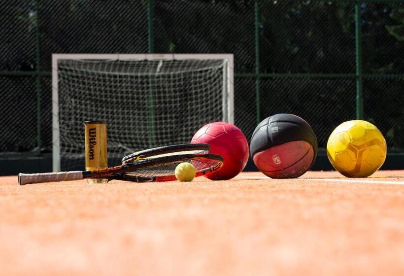 Pensiunea Aria Paltinis