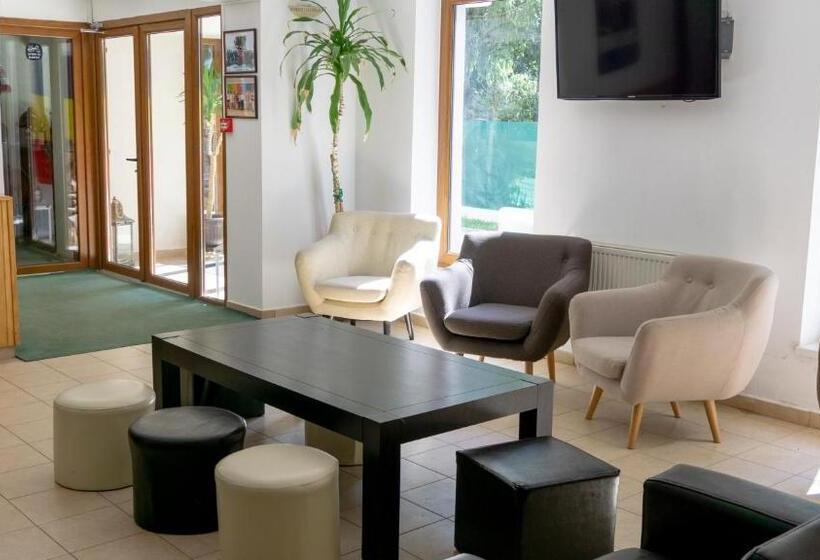 Pensiunea Aria Paltinis