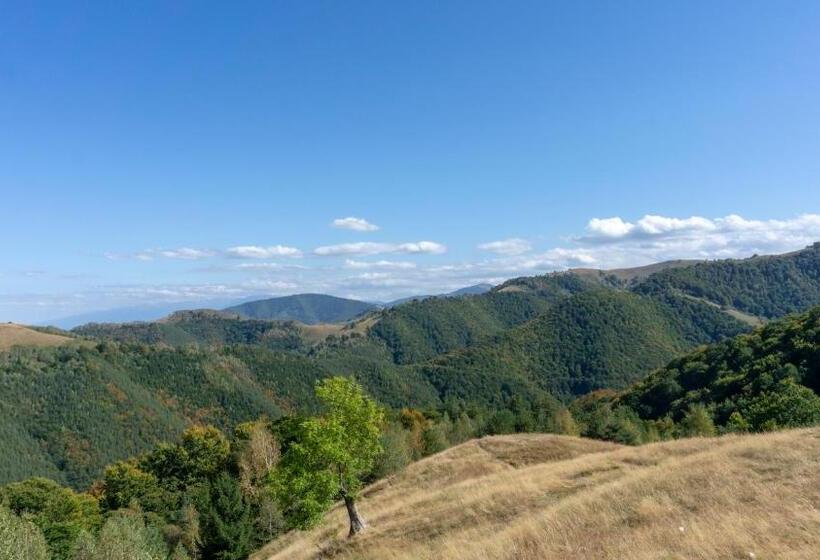 Pensiunea Aria Paltinis