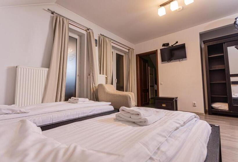 Pensiunea Aria Paltinis