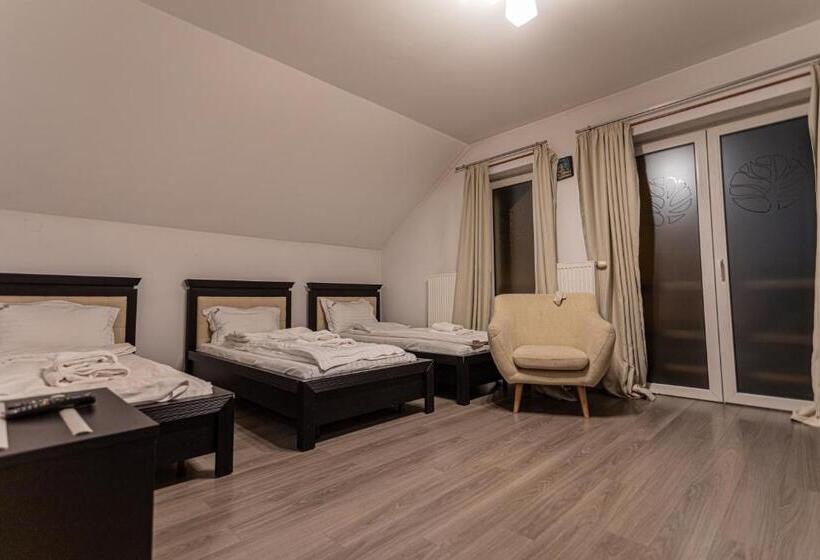 Pensiunea Aria Paltinis