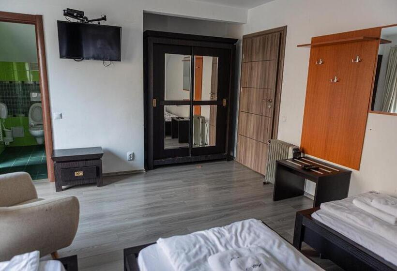 Pensiunea Aria Paltinis