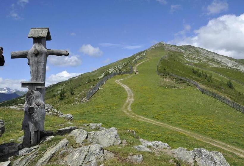Stoagas Waidblick