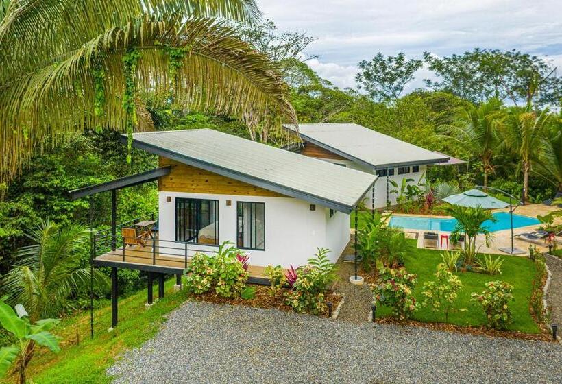 The Sutton   Boutique Jungle Experience