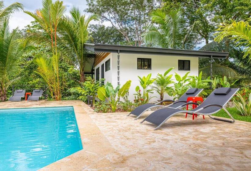 The Sutton   Boutique Jungle Experience