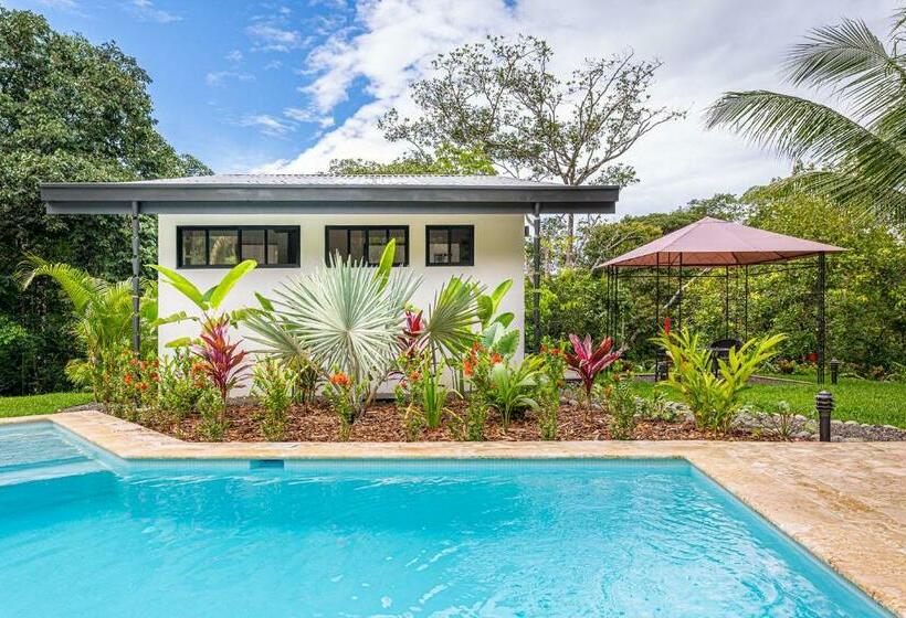 The Sutton   Boutique Jungle Experience