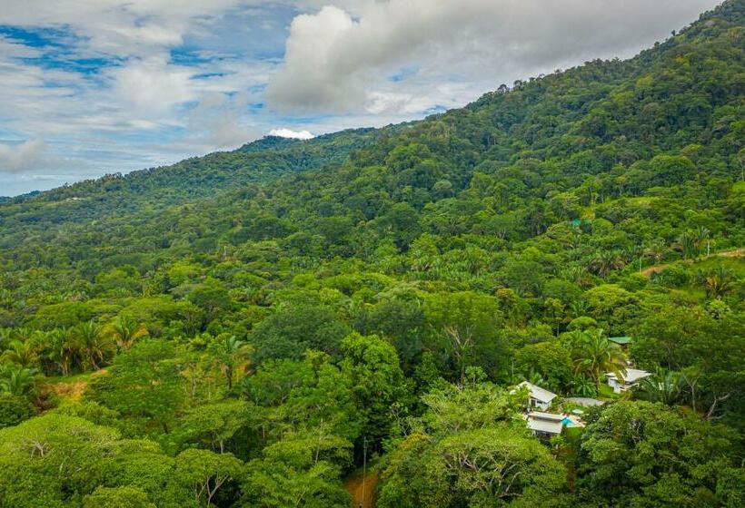 The Sutton   Boutique Jungle Experience