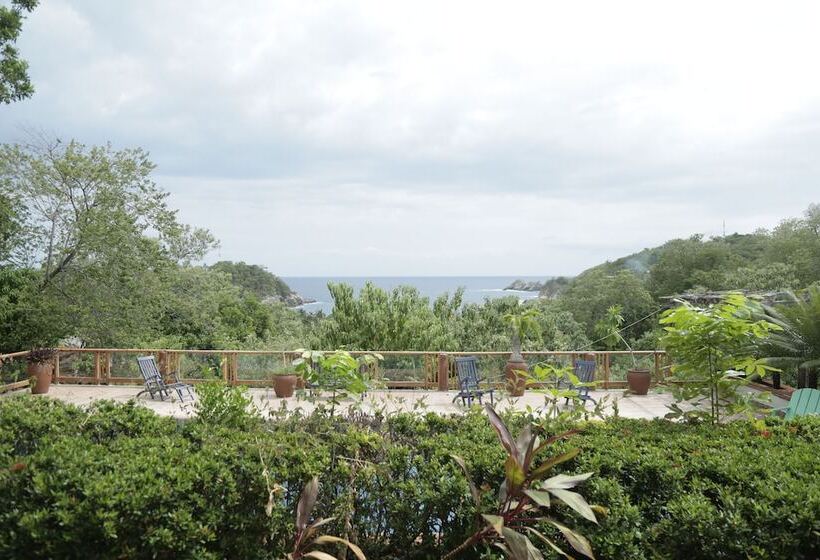 فندق صغير La Buena Vista