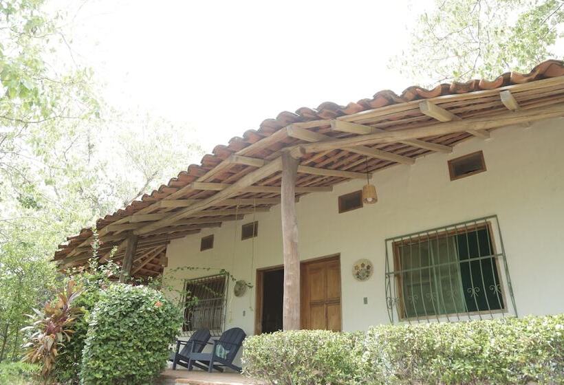 فندق صغير La Buena Vista