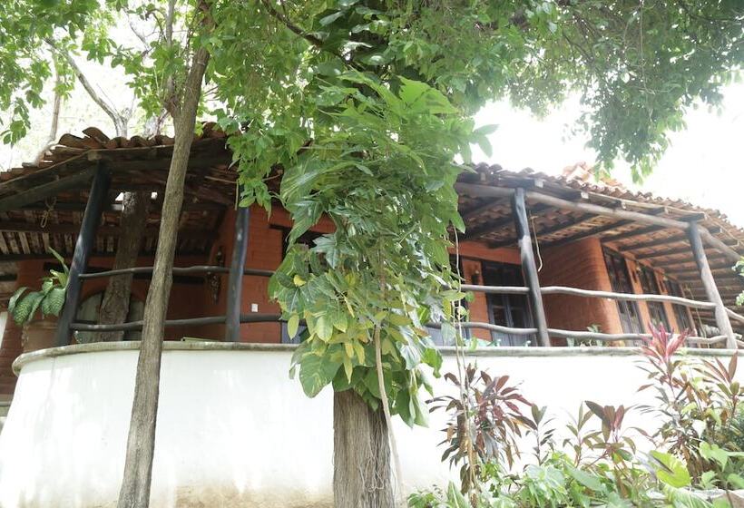 فندق صغير La Buena Vista