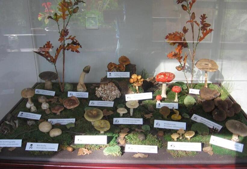 مبيت وإفطار Apát Panzió és étterem