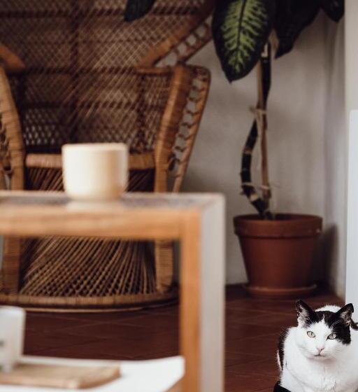 تختخواب و صبحانه Layer Residences