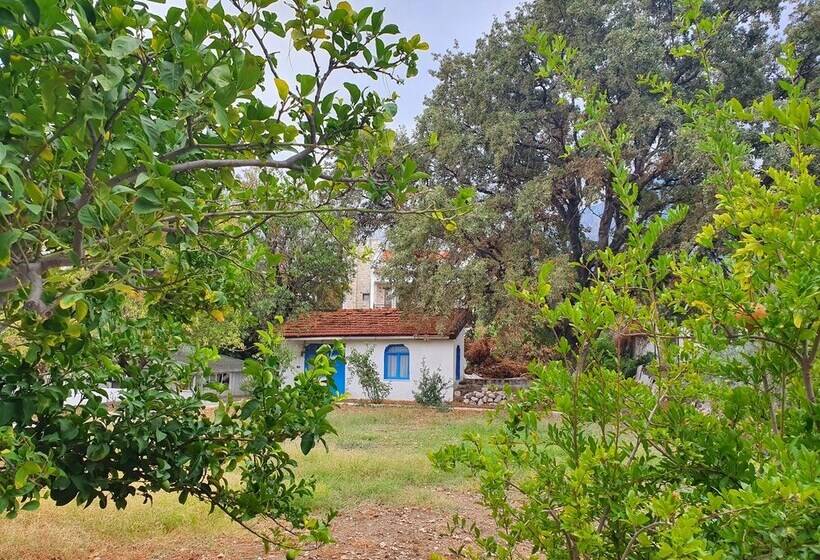 Dilek Agaci Butik Otel