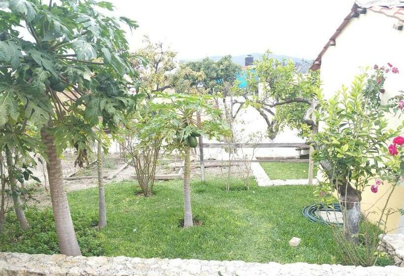 호텔 De Las Flores