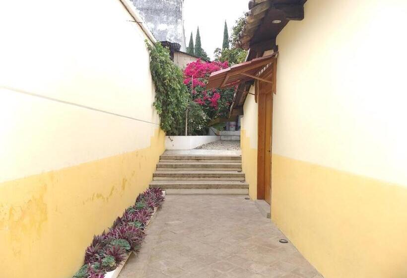 호텔 De Las Flores