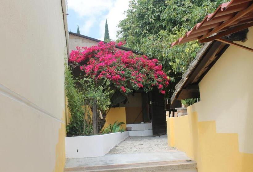 호텔 De Las Flores