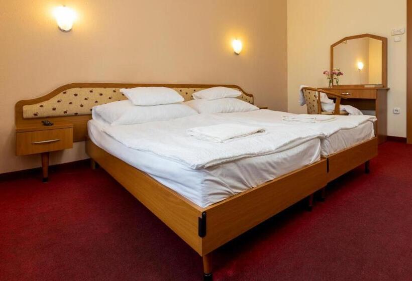 فندق Imperial Gyogyszallo Es Gyogyfurdo