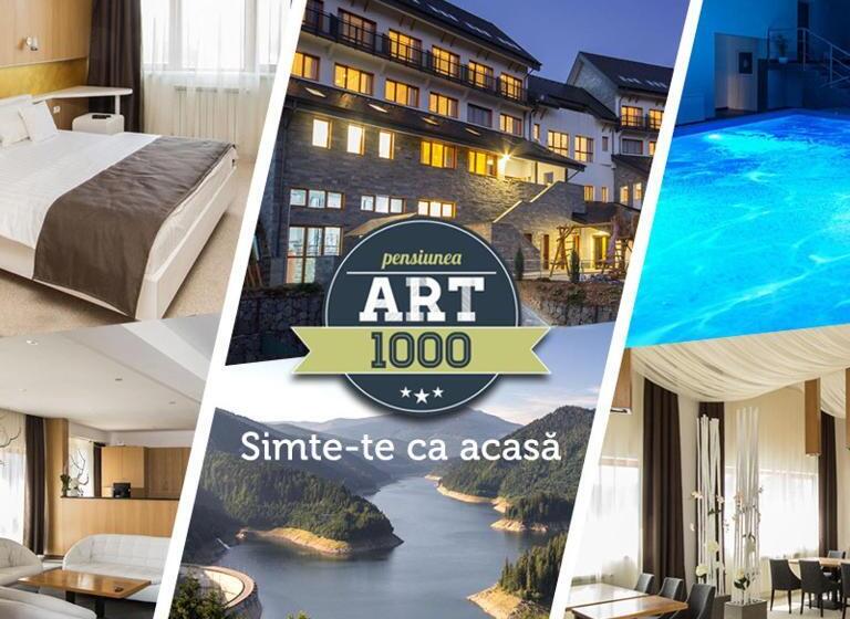 בית מלון כפרי Pensiunea Art 1000