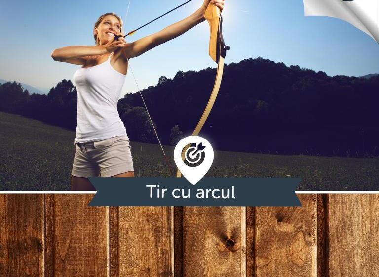 בית מלון כפרי Pensiunea Art 1000