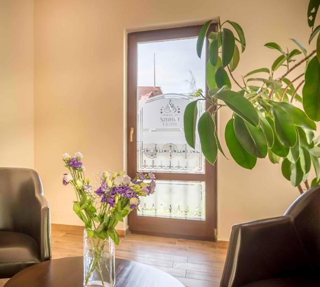호텔 Szeifert