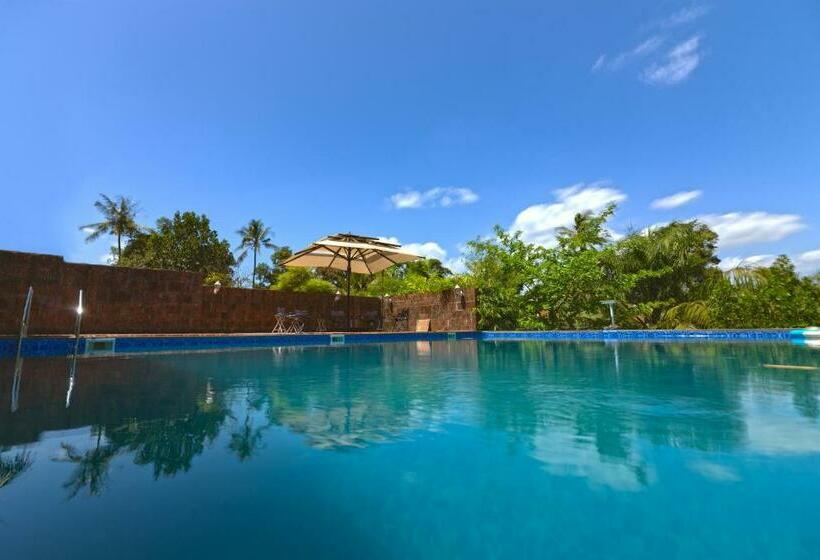 בית מלון כפרי The Palmnest Resort