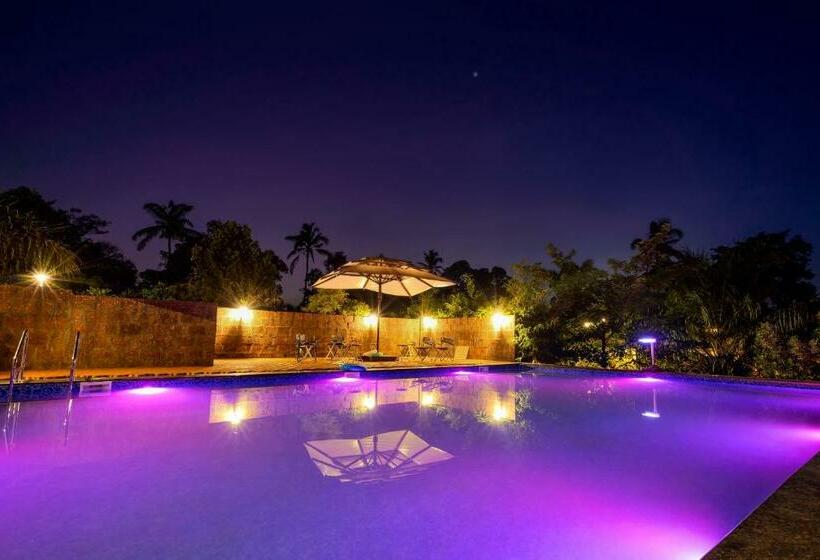 בית מלון כפרי The Palmnest Resort